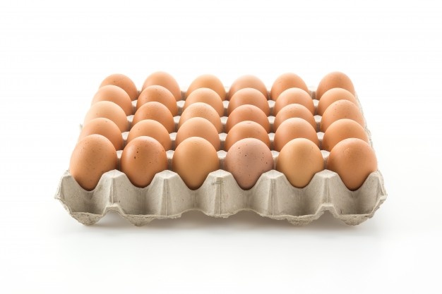 PANAL DE HUEVOS TIPO A