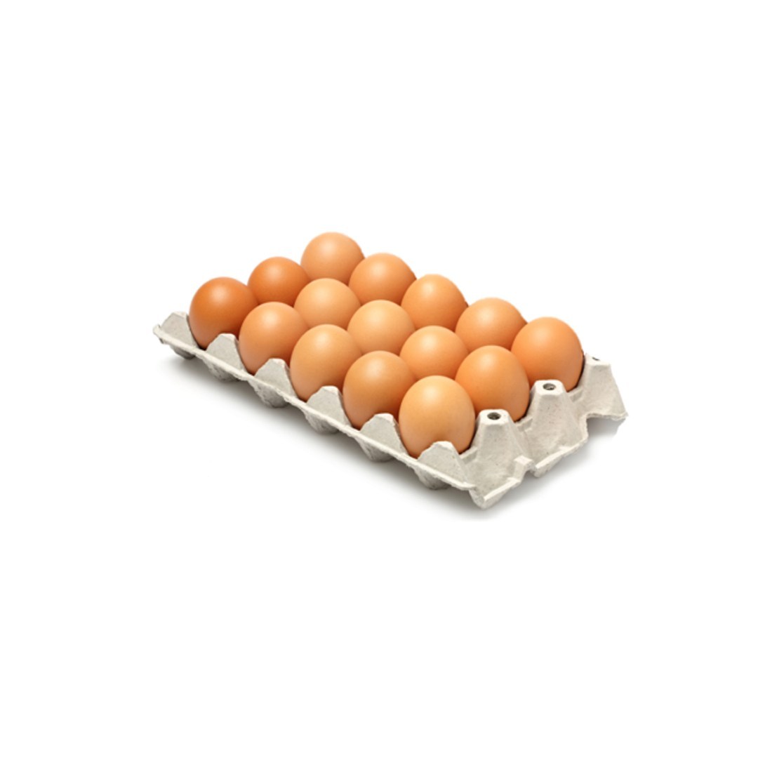 PANAL DE HUEVOS TIPO A