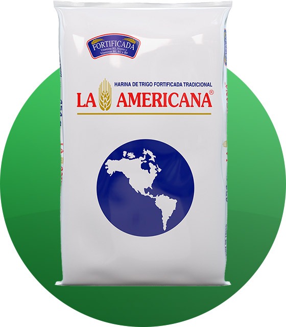 HARINA TRIGO AMERICANA X 454 GR