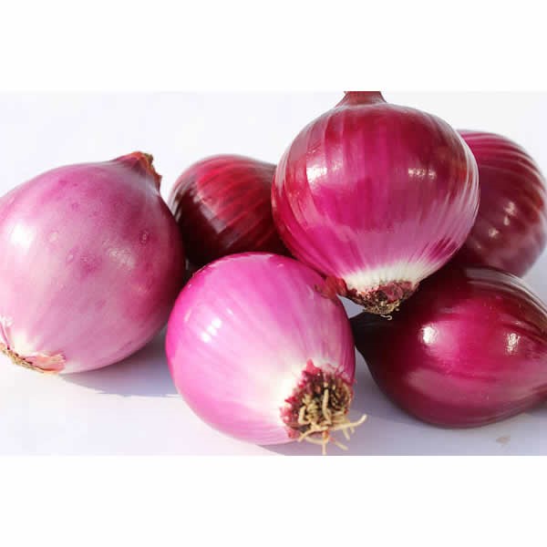 CEBOLLA CABEZONA ROJA KG