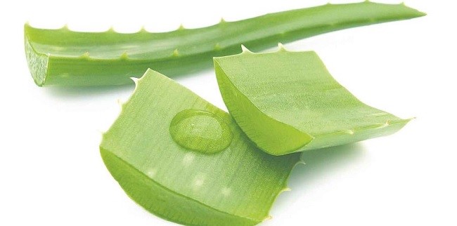 SABILA UND