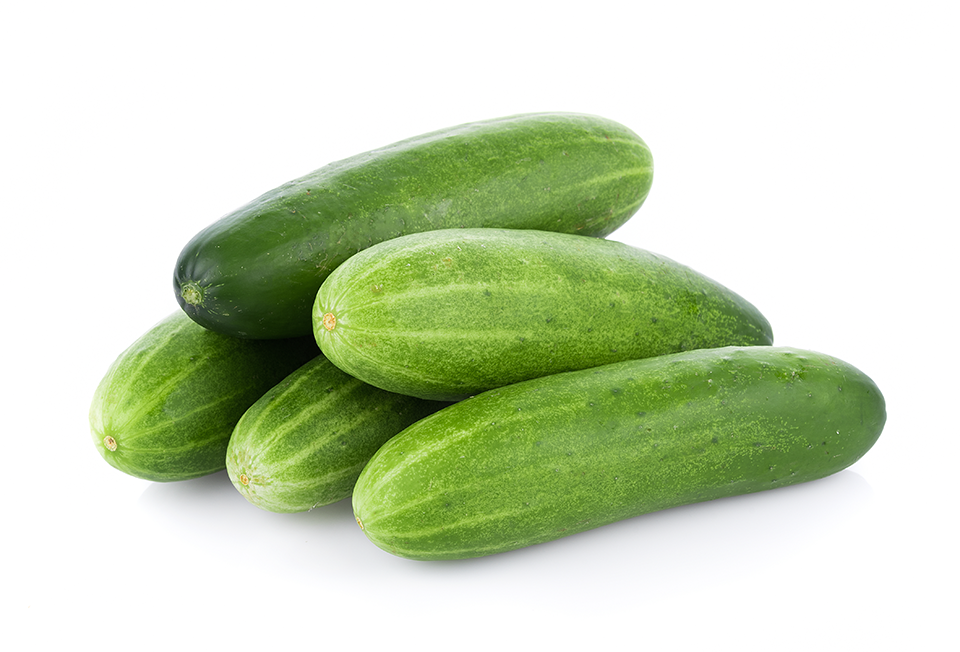 PEPINO COHOMBRO KG