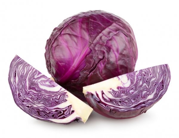 REPOLLO MORADO KG