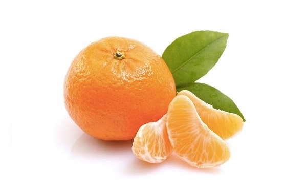 MANDARINA KG