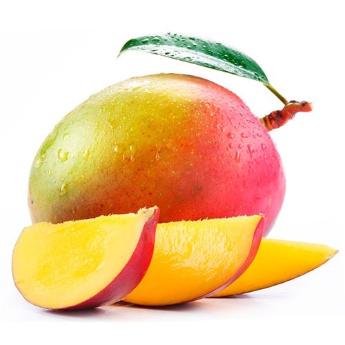 MANGO KG