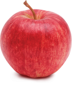 MANZANA GALA KG