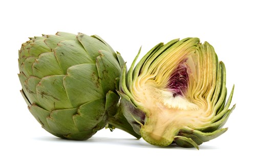 ALCACHOFA UND