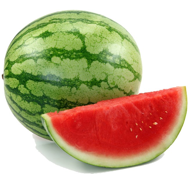 SANDIA KG