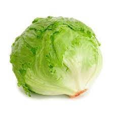 LECHUGA BATAVIA KG