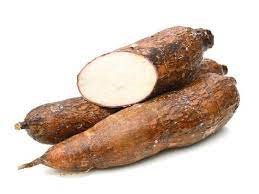 YUCA KG