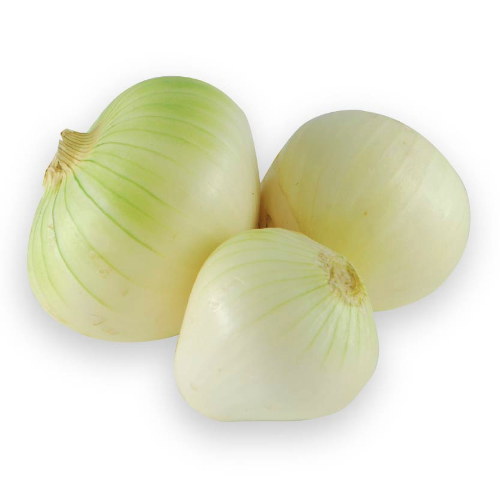 CEBOLLA CABEZONA PELADA KG