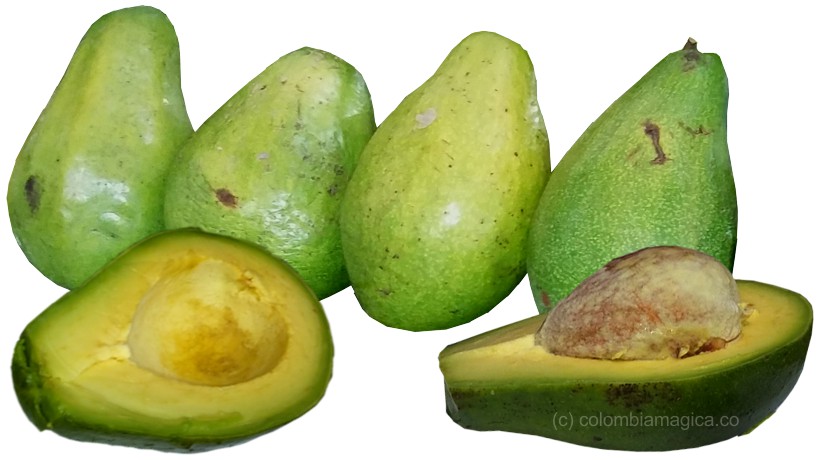 BOLSA AGUACATE UND