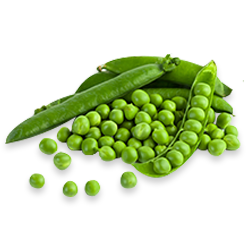 BOLSA ARVEJA VERDE UND