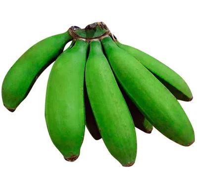 BOLSA GUINEO UND