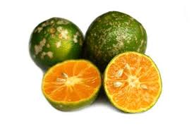 BOLSA LIMON MANDARINO UND