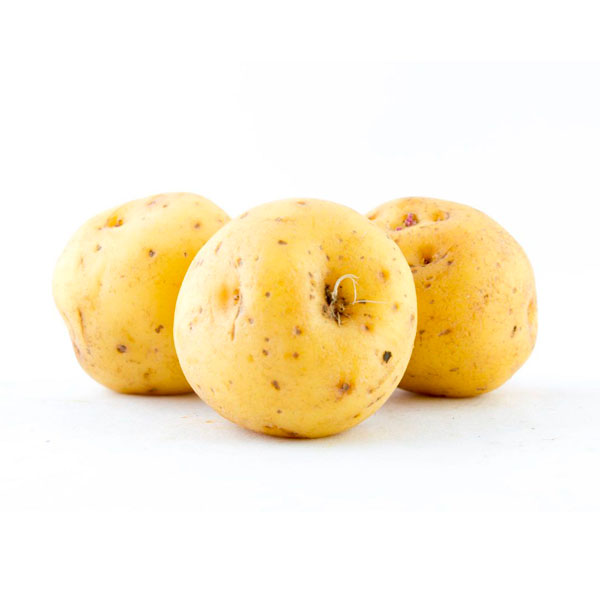 BOLSA PAPA CRIOLLA UND