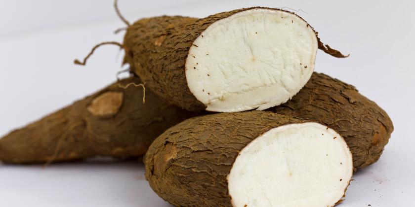 BOLSA YUCA UND