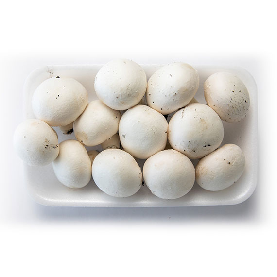 SCHAMPIÑONES BANDEJA