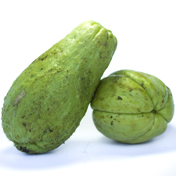 BOLSA CIDRA